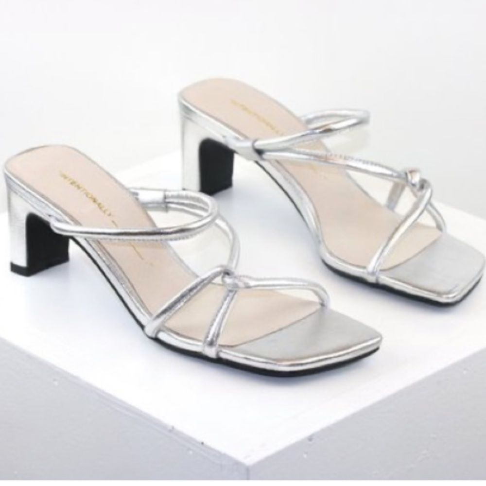 Silver intentionally blank willow